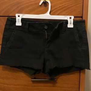 American Eagle Shortie